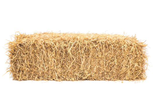 bale of hay isolated