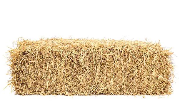 Bale of hay isolated on a white background as an agriculture farm and farming symbol of harvest time with dried grass straw as a bundled tied haystack.