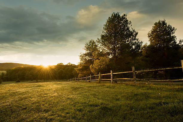 istock Beautiful sunrise on the farm 450845283