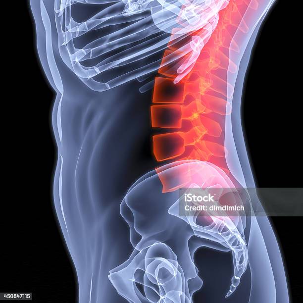 Spine Stock Photo - Download Image Now - Anatomy, Biomedical Illustration, Human Body Part