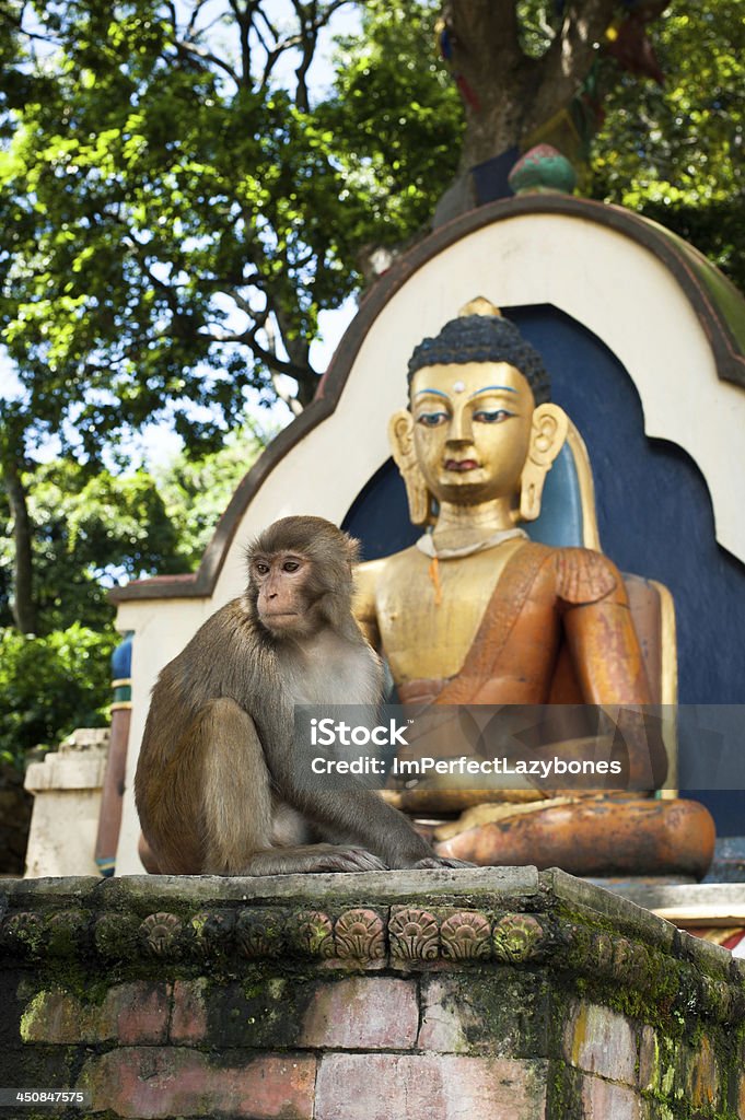 Małpy siedzi w pobliżu Budda statue. Nepal - Zbiór zdjęć royalty-free (Architektura)