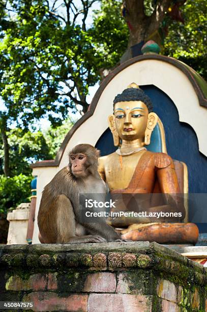 Małpy Siedzi W Pobliżu Budda Statue Nepal - zdjęcia stockowe i więcej obrazów Architektura - Architektura, Azja, Bez ludzi