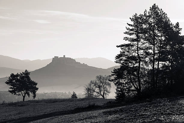 Beautiful view of the countryside of Foggia