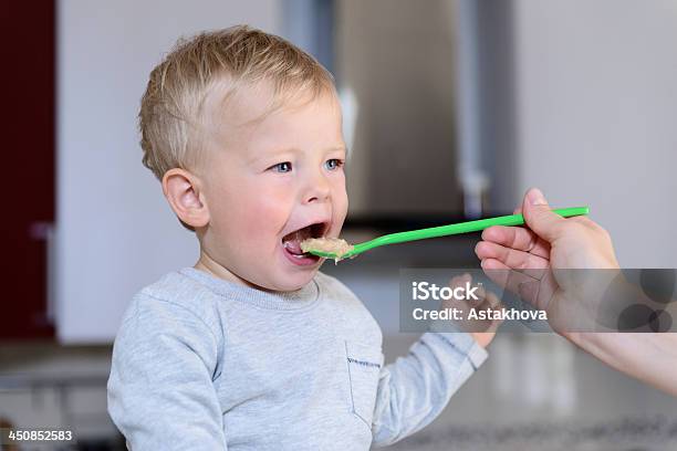 Little Baby Feeding Stock Photo - Download Image Now - Baby - Human Age, Porridge, Sitting