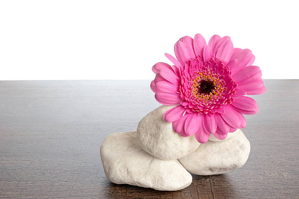 White stones ornate with pink gerbera stock photo