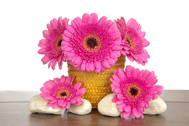 istock Yellow basket pink Gerbera and four white rocks 450855303