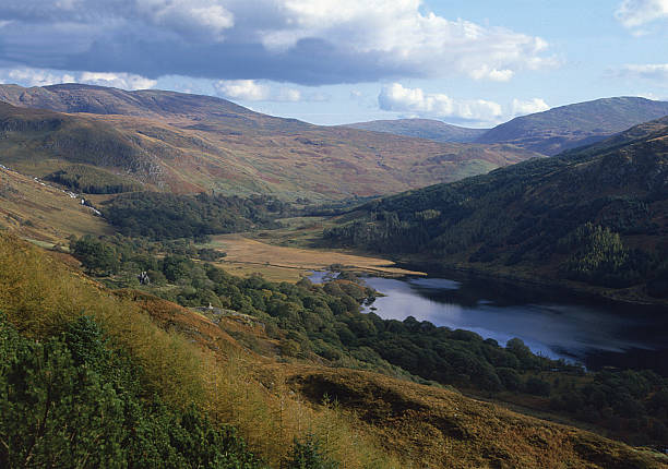 glen e galloway e loch trool, scozia - dumfries and galloway foto e immagini stock