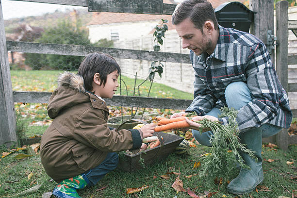 vegetais orgânicos - pitchuk2013 - fotografias e filmes do acervo