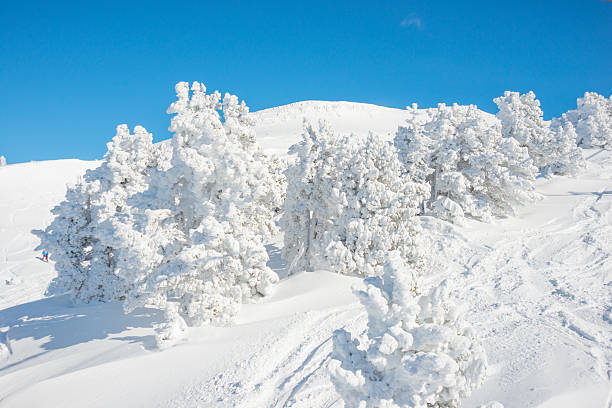 istock Winter Landscape with Snow and Trees 450869441