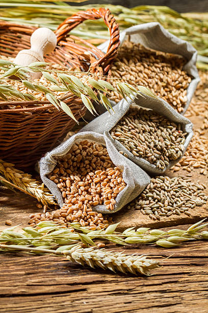istock Rye, barley and wheat are the basis for good bread 450873653