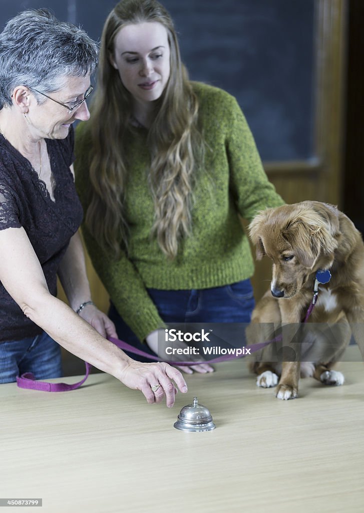 Perro AUDITIVAS-Oficina del veterinario a cargo de - Foto de stock de Campana libre de derechos