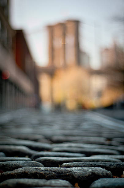 istock Coblestone street of DUMBO 450875145