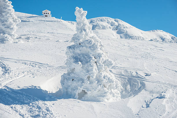istock Winter Landscape with Snow and Trees 450875645