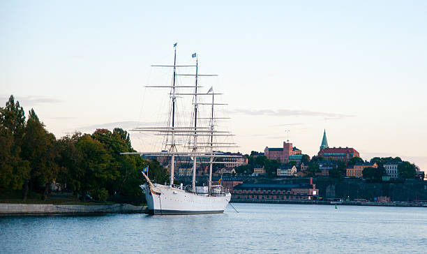 istock Ships in Stockholm 450908543