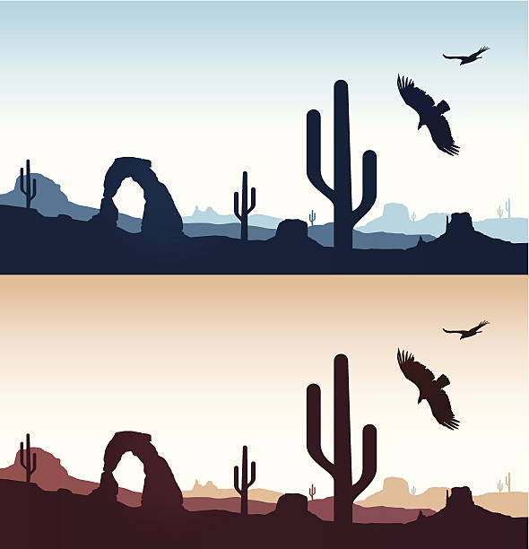 Desert Landscapes Desert landscapes. EPS 10 file. Transparency effects used on highlight elements. arizona stock illustrations