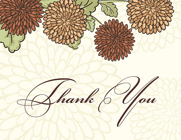 złocień karta z podziękowaniem - chrysanthemum single flower flower pattern stock illustrations