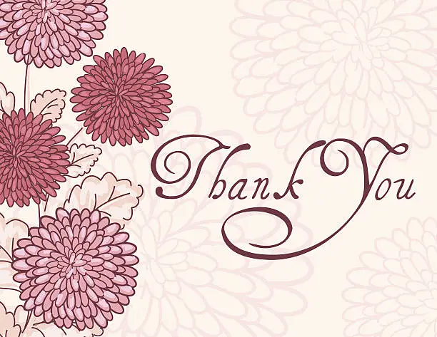 Vector illustration of Pink Chrysanthemum Thank You Card