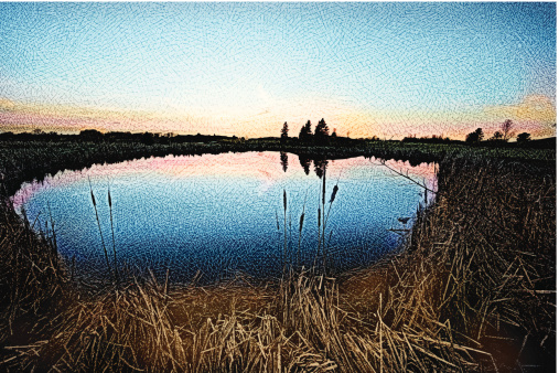 Etching illustration of a pond sunset.