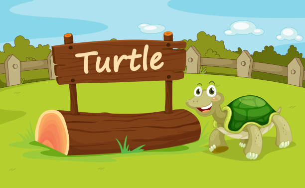 Zoo animal animal enclosure at the zoo wood turtle stock illustrations