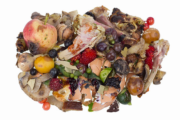 istock Rotten food waste isolated concept 450962481