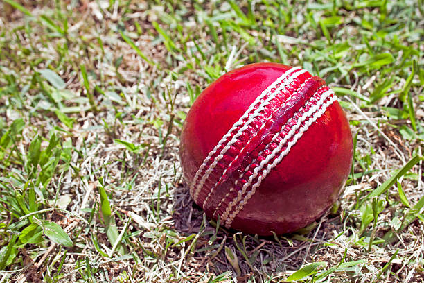 istock Bright Red Cricket Ball On Patchy Grass Lawn 450974389