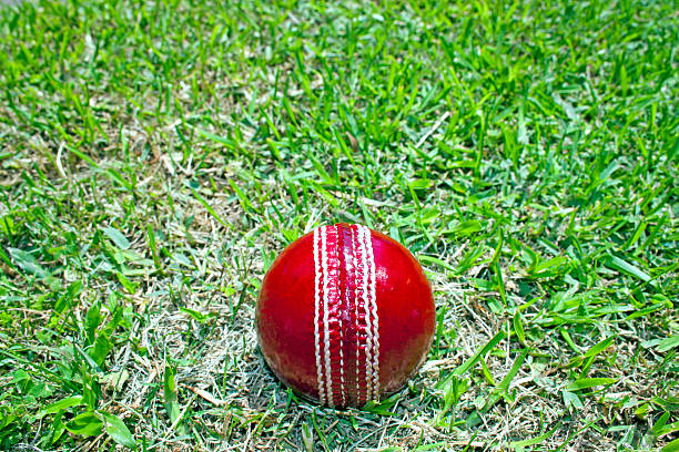 istock New Bright Red Cricket Ball On Green Grass Field 450983279