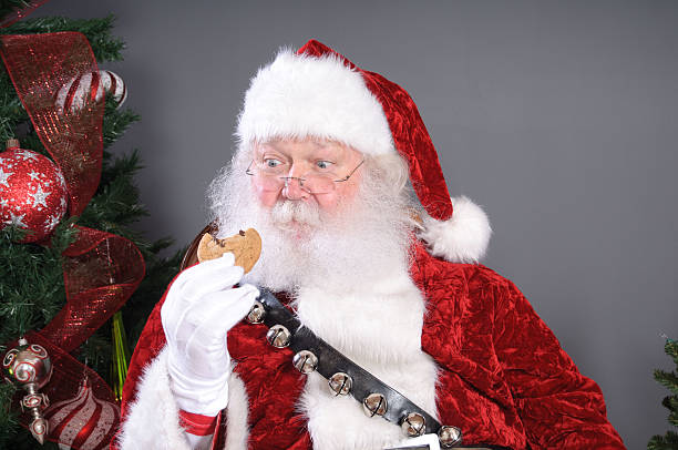 istock Real Santa Claus with Cookie 450984479