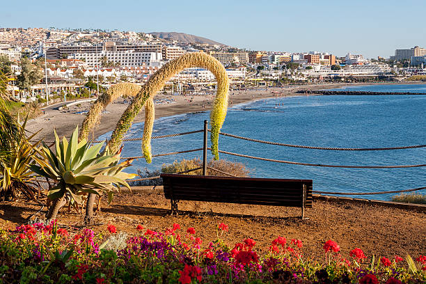 istock Costa Adeje. Tenerife. Canary Islands 450985741