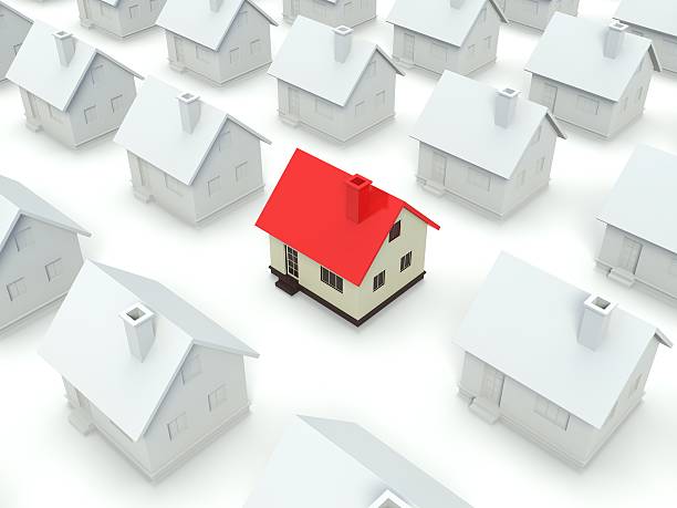istock House Standing Out From The Crowd 450995489