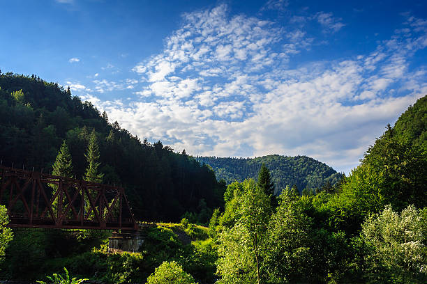 istock rail metal bridge in mountains 450998123