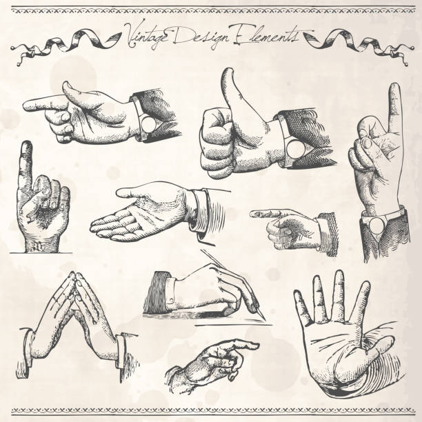 Vintage Hands Pointing Vector Illustration Of Set of Hands Pointing pencil drawing illustrations stock illustrations
