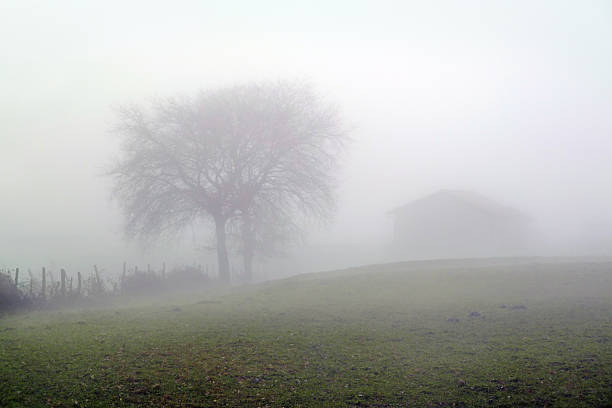 istock rural and foggy landscape 451013873