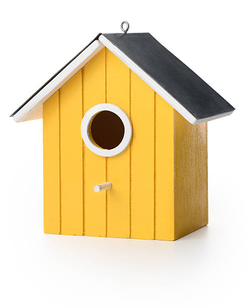 Yelolow bird box New wooden bird box, isolated on white background nesting box stock pictures, royalty-free photos & images