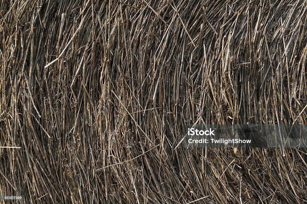 Texture di paglia - Foto stock royalty-free di Agricoltura