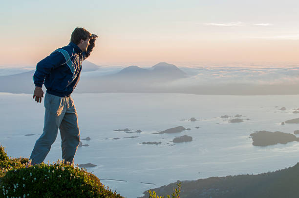 atenção - sitka imagens e fotografias de stock