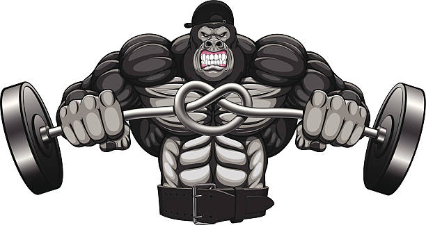 Illustration Of The Strong Garilly Stock Illustration - Download Image Now  - Gorilla, Muscular Build, Adult - iStock