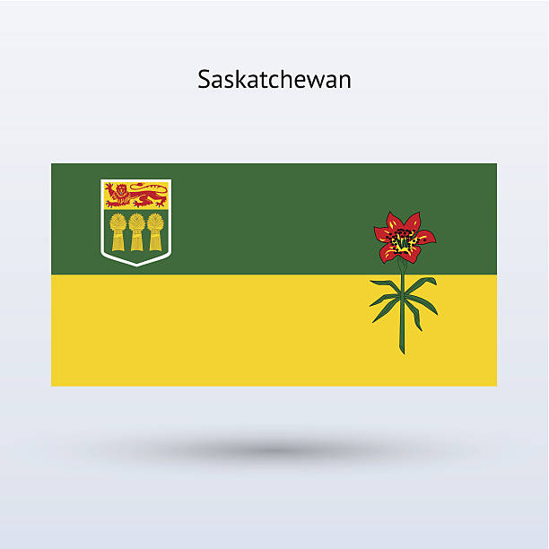 ilustraciones, imágenes clip art, dibujos animados e iconos de stock de provincia de saskatchewan (canadá) - saskatchewan province canada flag