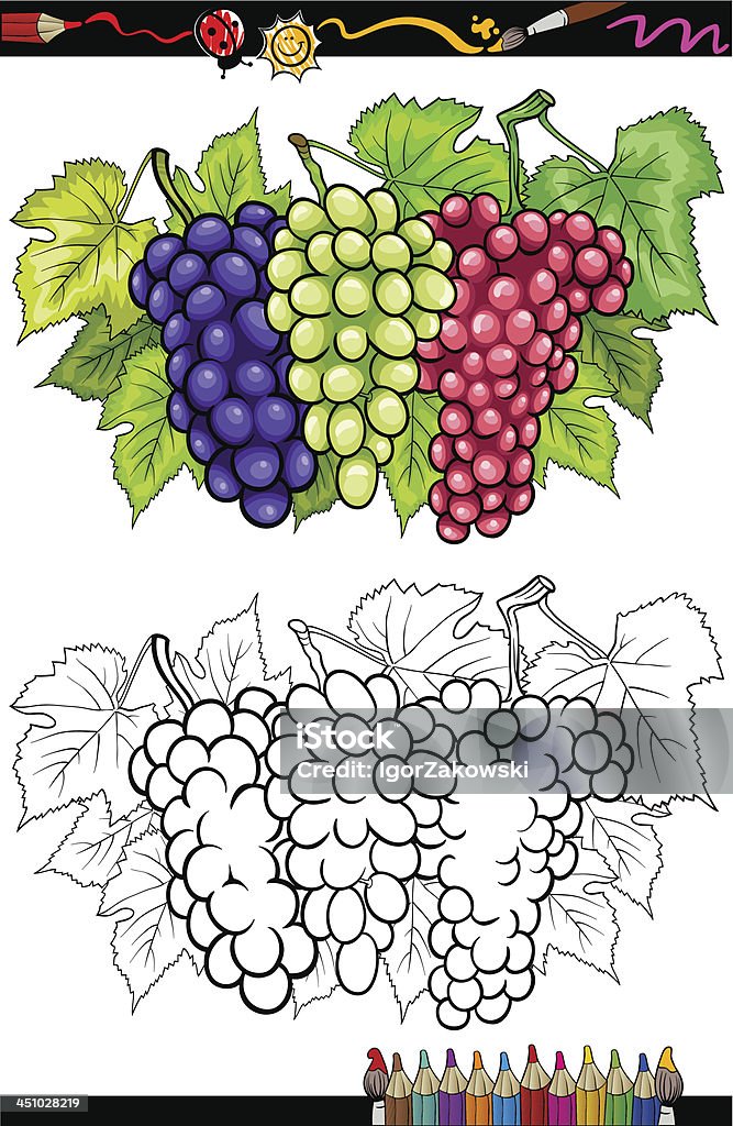 Uvas e frutas Ilustração de livro de colorir - Vetor de Alimentação Saudável royalty-free