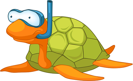 Cartoon Character Turtle Isolated on White Background. Vector.