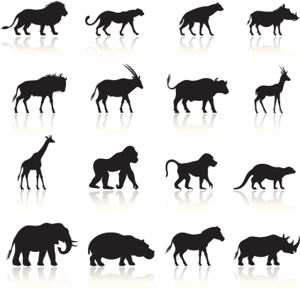 African Animals Icon Set. High Resolution JPG,CS5 AI and Illustrator EPS 8 included. Each element is named,grouped and layered separately.