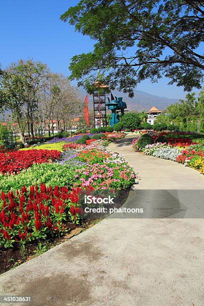 Blumenweg Stockfoto und mehr Bilder von Baum - Baum, Baumblüte, Blume