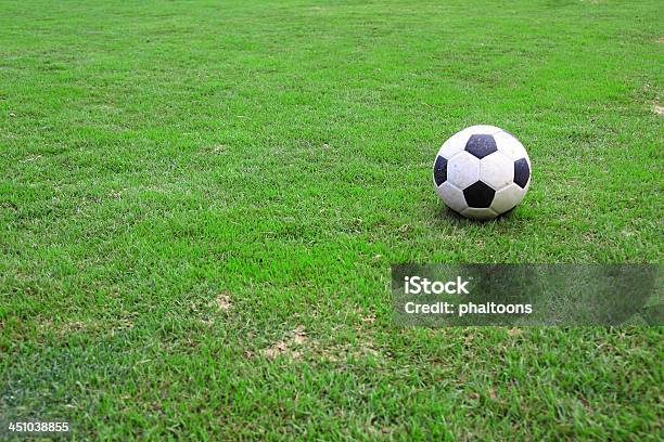 Pallone Da Calcio Su Erba Verde - Fotografie stock e altre immagini di Attività - Attività, Attrezzatura, Bianco