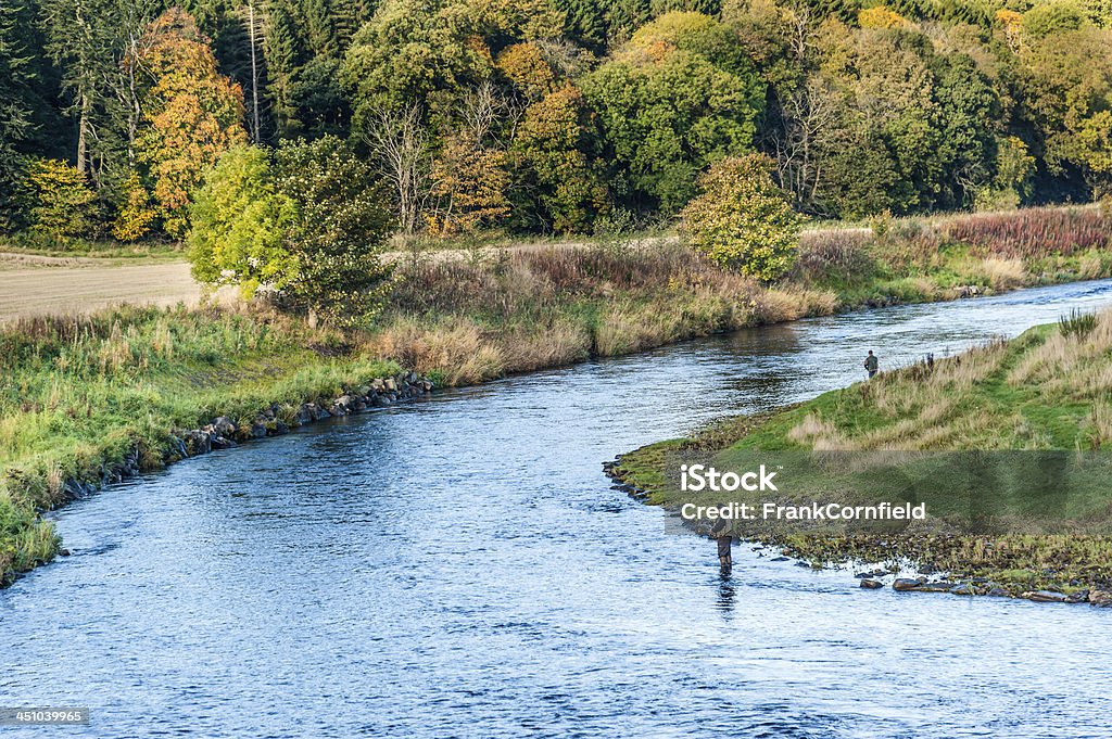 Angler la pesca de salmón en River Deveron. - Foto de stock de Reino Unido libre de derechos
