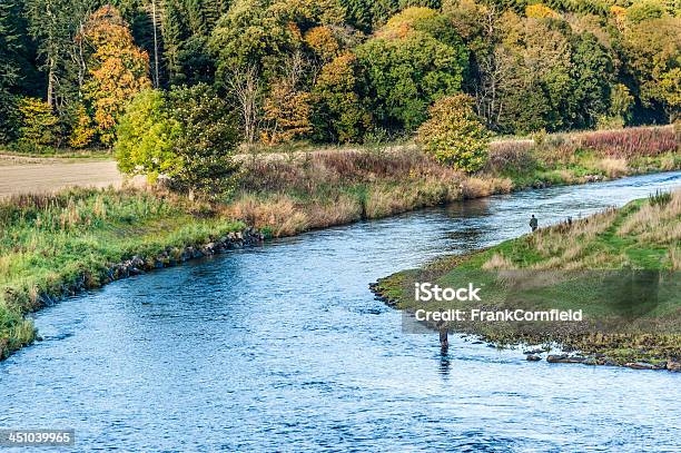 Angler La Pesca De Salmón En River Deveron Foto de stock y más banco de imágenes de Reino Unido - Reino Unido, Pesca con mosca, Pescar