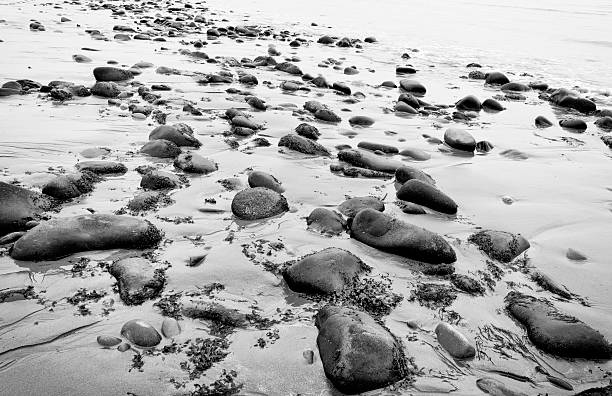 istock Wet Beach Rocks and Tidal Water. 451045165