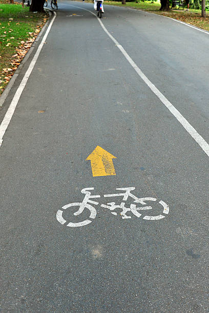 istock bicycle lane in the park 451045313