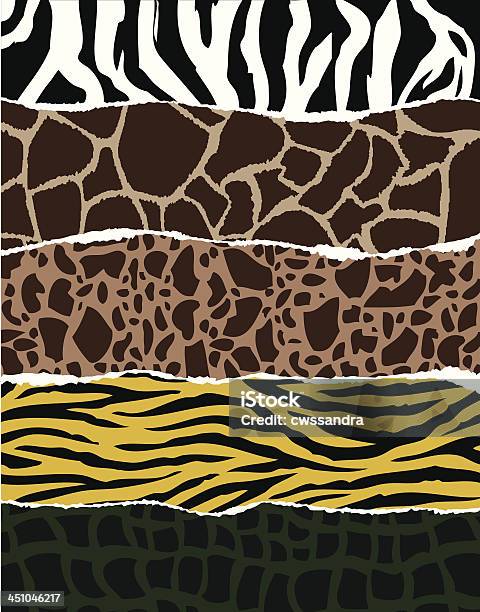 Animal Patterns Reference Collection Of Animal Patterns Stock Illustration - Download Image Now ...