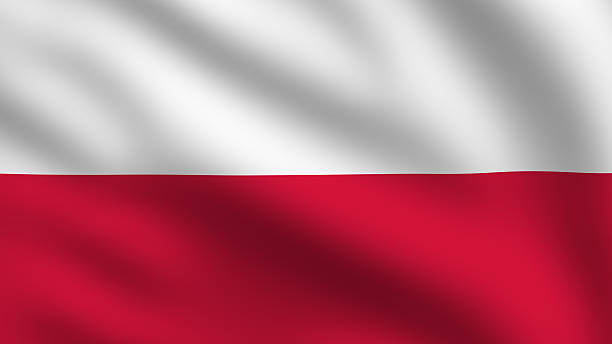 Polish flag stock photo