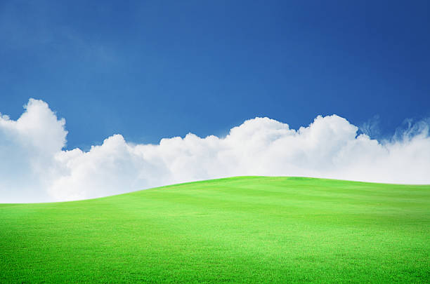 istock Beautiful green field with blue sky and white cloud. 451048241