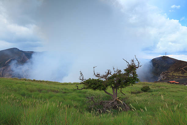 Masaya volcano tree on the background of the crater of an active volcano masaya volcano stock pictures, royalty-free photos & images